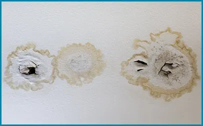 Pembroke Pines Restoration Expert Pembroke Pines, FL 954-526-1438 Pembroke Pines Restoration Expert Pembroke Pines, FL 954-526-1438