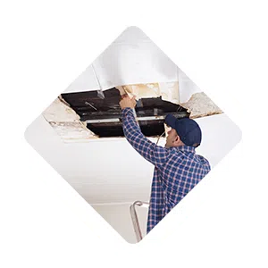 Pembroke Pines Restoration Expert, Pembroke Pines, FL 954-526-1438